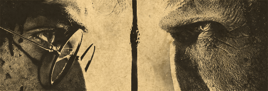 Harry Potter i Insygnia Śmierci na pożegnanie z Nocami Filmowymi!